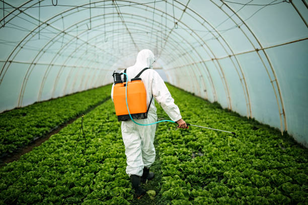 Best Pest Removal Services  in Mount Juliet, TN