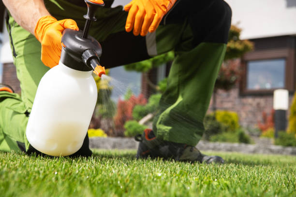 Best Pest Control Near Me  in Mount Juliet, TN