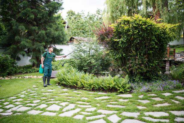 Best Exterminator Services  in Mount Juliet, TN