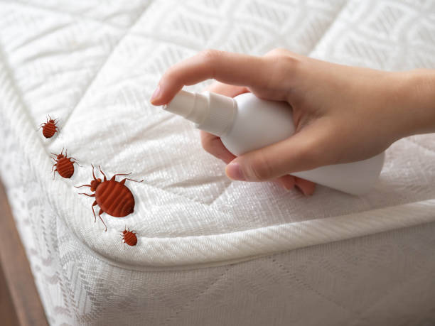 Reliable Mount Juliet, TN Pest Control Solutions