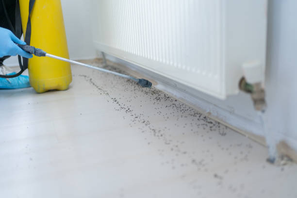 Best Emergency Pest Control  in Mount Juliet, TN